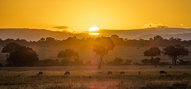 The Best Places to Propose in Africa: From Cape Town to Marrakech 4 Sun setting over the Masai Mara, with acacia trees and grazing wildlife on the plains