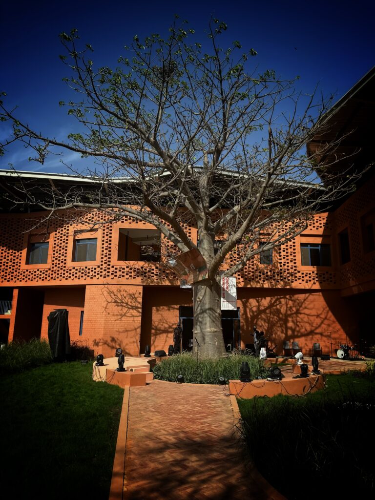 The preserved baobab tree at the centre of Francis Kéré’s Goethe-Institut Dakar