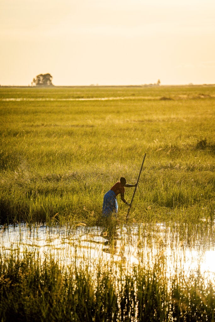 A lone figure poles through the flooded Barotse Plain at sunrise as the Zambezi rises before the Kuomboka ceremony in Western Zambia.