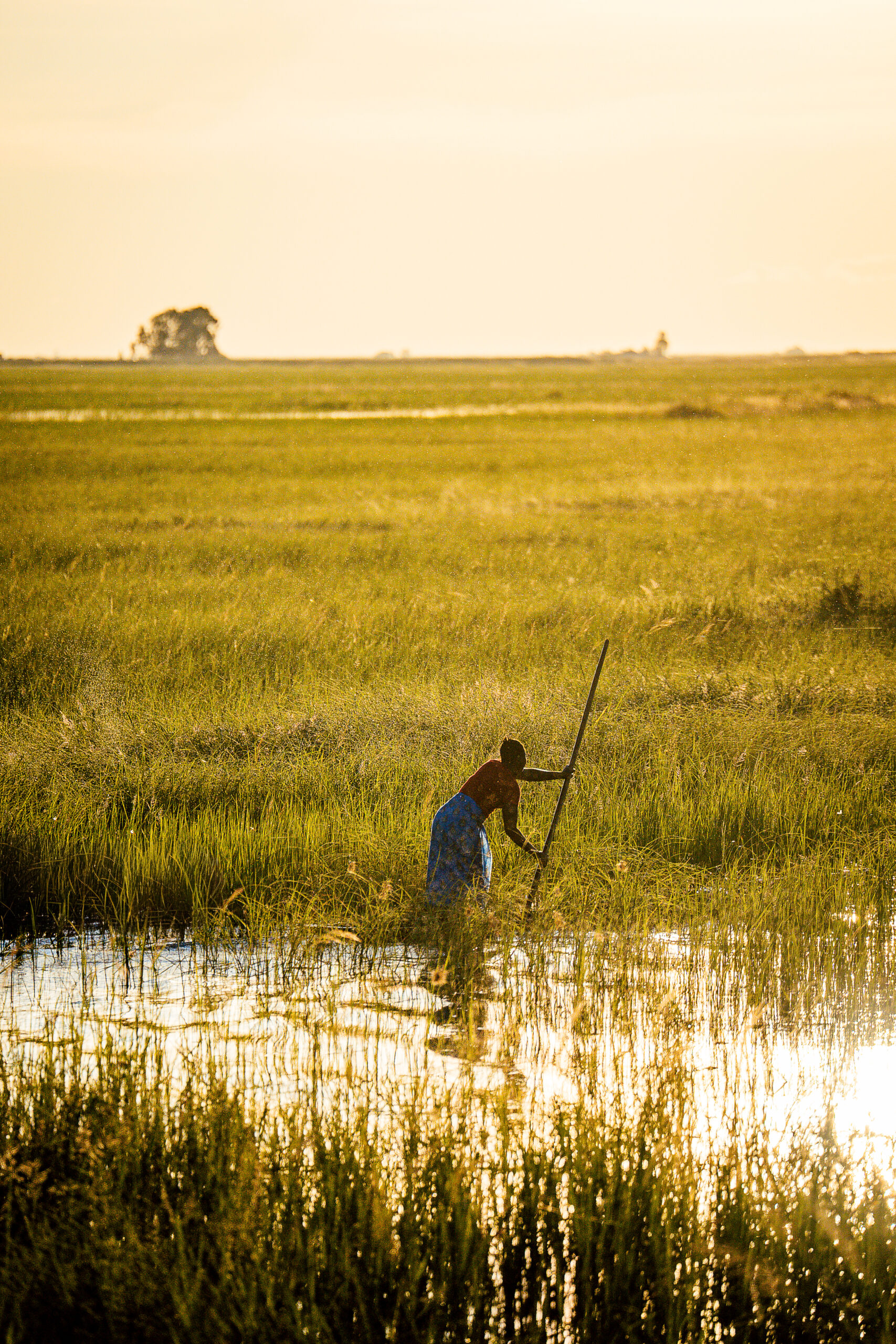 Six Days on the Zambezi: A Traveller's Guide to Kuomboka 11 A lone figure poles through the flooded Barotse Plain at sunrise as the Zambezi rises before the Kuomboka ceremony in Western Zambia.