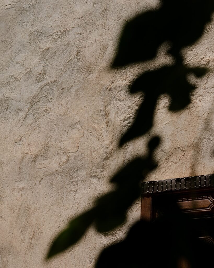 Palm shadows falling across a hand-polished tadelakt wall at El Fenn, Marrakech.