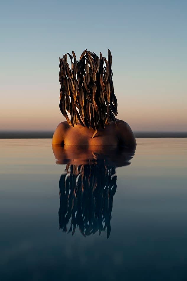 The Seedpod and the Skin 3 Tatenda Chidora, Pamushana, from Metamorphosis: a figure submerged to the shoulders in still water at dusk, the head crowned by a dark seedpod mask, the sky reflected around him