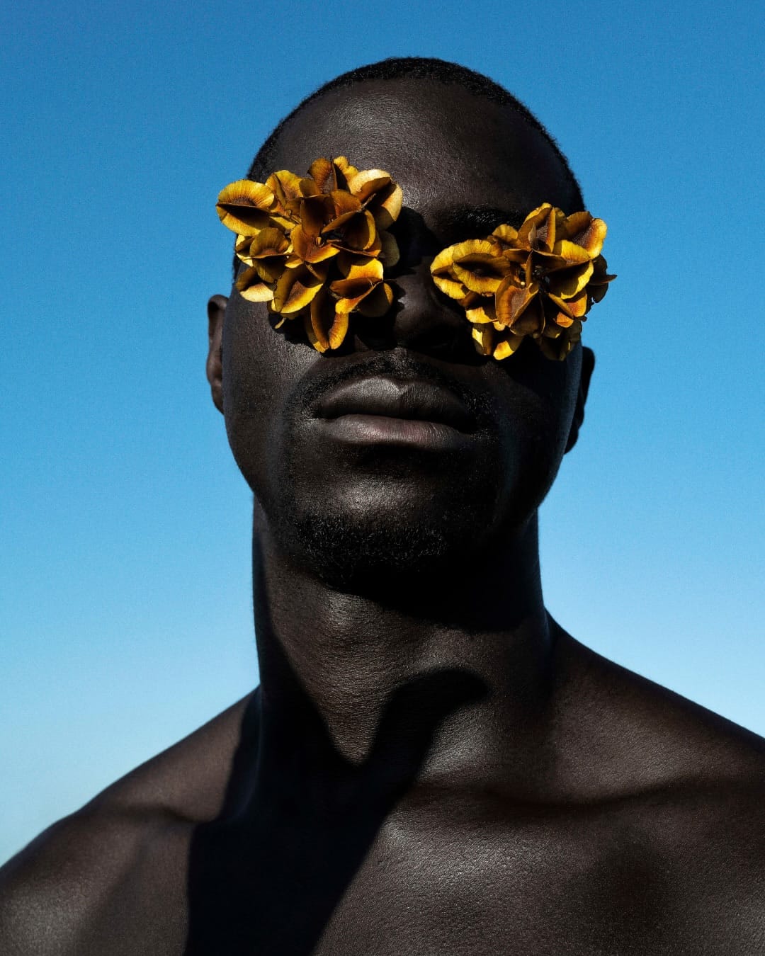 The Seedpod and the Skin 5 Tatenda Chidora, Russet Bushwillow, from Metamorphosis: a dark-skinned man against a blue sky wearing a mask of clustered golden-russet seedpods over his eyes