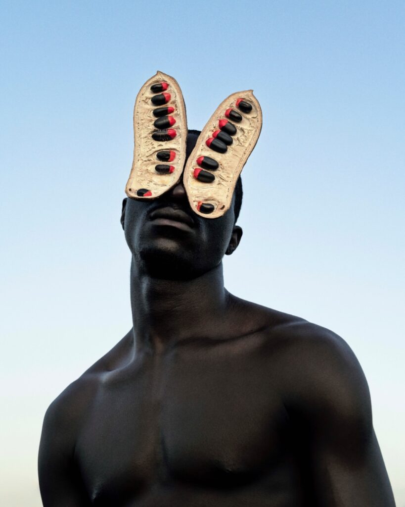 The Seedpod and the Skin 2 Tatenda Chidora, Pod Mahogany, from Metamorphosis: a figure against a pale blue sky wearing a mask of two curved cream-coloured seedpods over the eyes